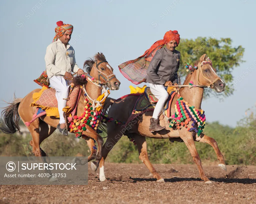 Two traditionally dresed riders, mounted on Kathiawari mares, Gujarat, India, January 2011, Model released