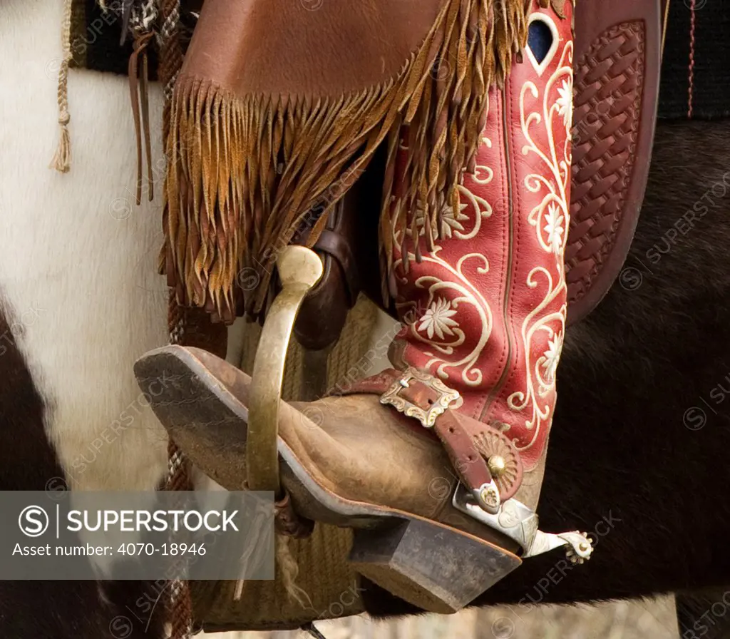 Close up of boot and spurs of Cowboy riding domestic horse,  Sombrero Ranch, Colorado, USA, May 2010, model released