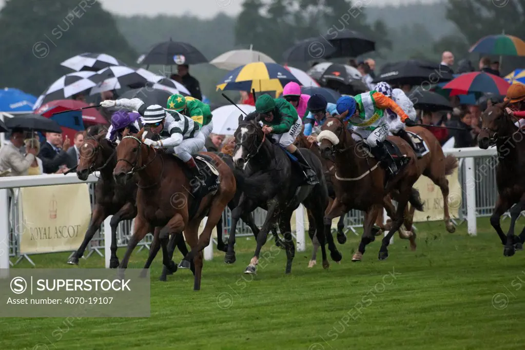 Horse racing - Immortal Verse (ridden by G.Mosse in White and Dark Green) wins The Coronation Stakes, over Nova Hawk (2nd, ridden by S.Pasquier in Emmerald Green and Yellow) and Barefoot Lady (3rd, ridden by P.Hanagan, in Emerald Green, White and Orange), in June 2011, on the 300th Anniversary of Royal Ascot, Berkshire, England.