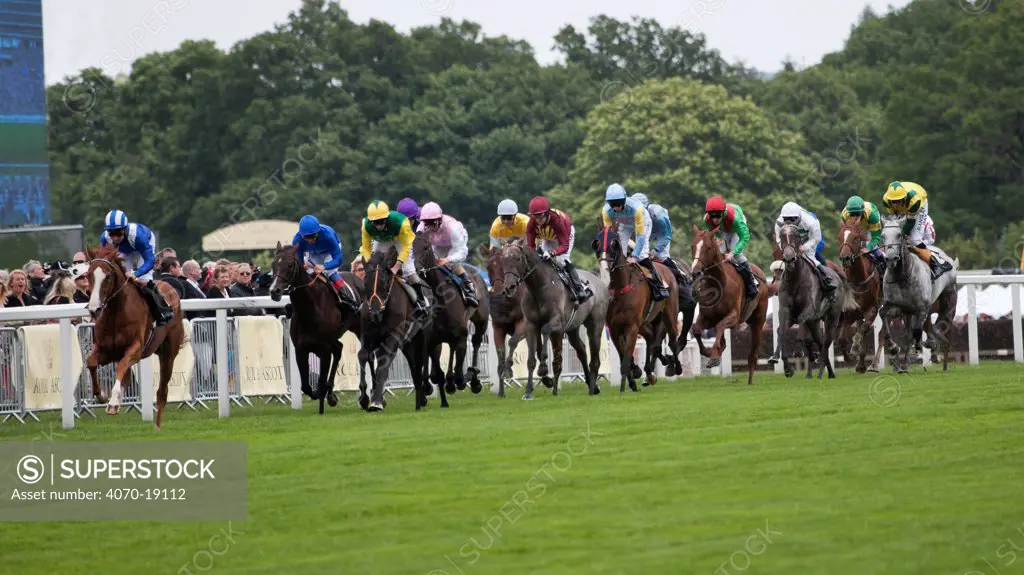 Horse racing - 15 Four Yrs Old and Upwards compete  to win the Gold Cup, in June 2011, on the 300th Anniversary of Royal Ascot, Berkshire, England.