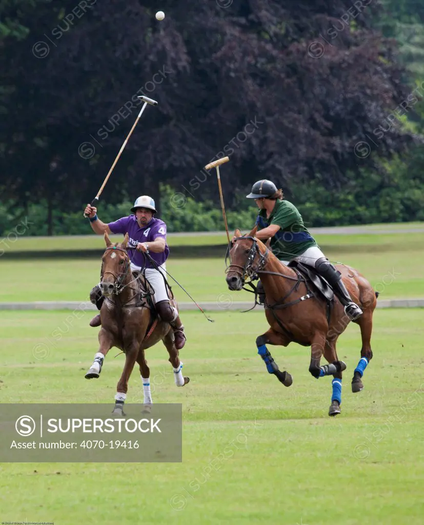 Polo playing, two team members compete in The Heritage Cup, Royal Military Academy Sandhurst,  Surrey, UK, August 2011