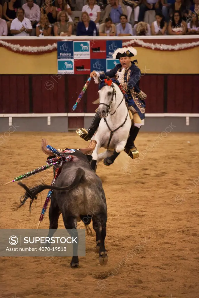 During the Festa do Colete Encarnado (Red Waistcoat Festival), a bull running festival, a traditionally dressed 'cavalheiro' delivers the 'banderilla' mounted on his Lusitano stallion in the bullring of Vila Franca de Xira, District of Lisbon, Portugal, July 2011