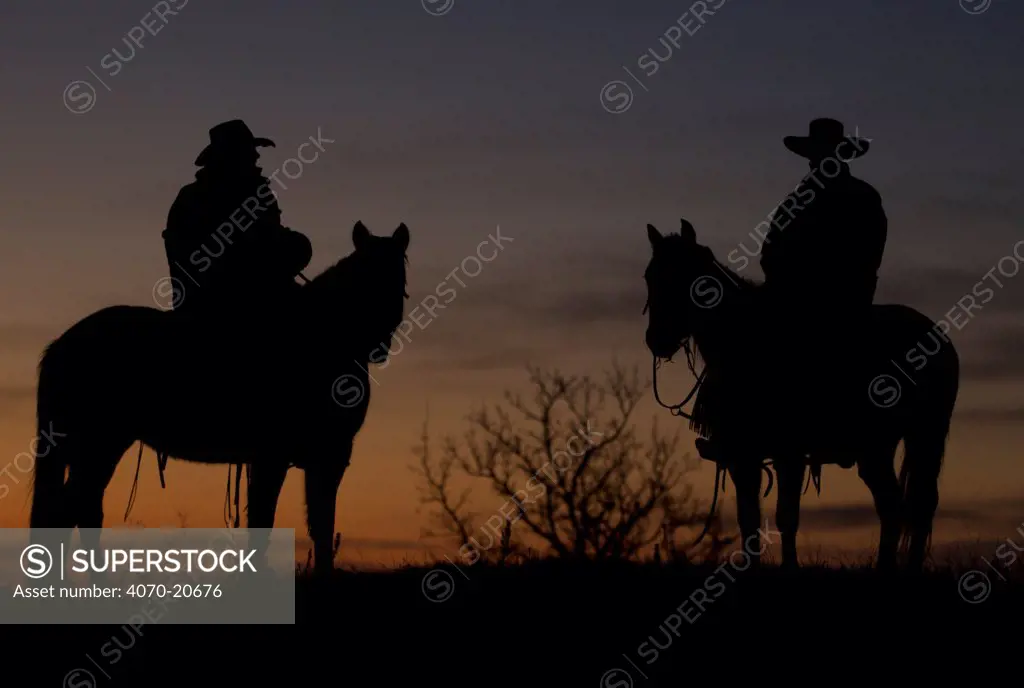 Silhouette of two cowboys mounted at dawn, Wyoming, USA, February 2012, model released