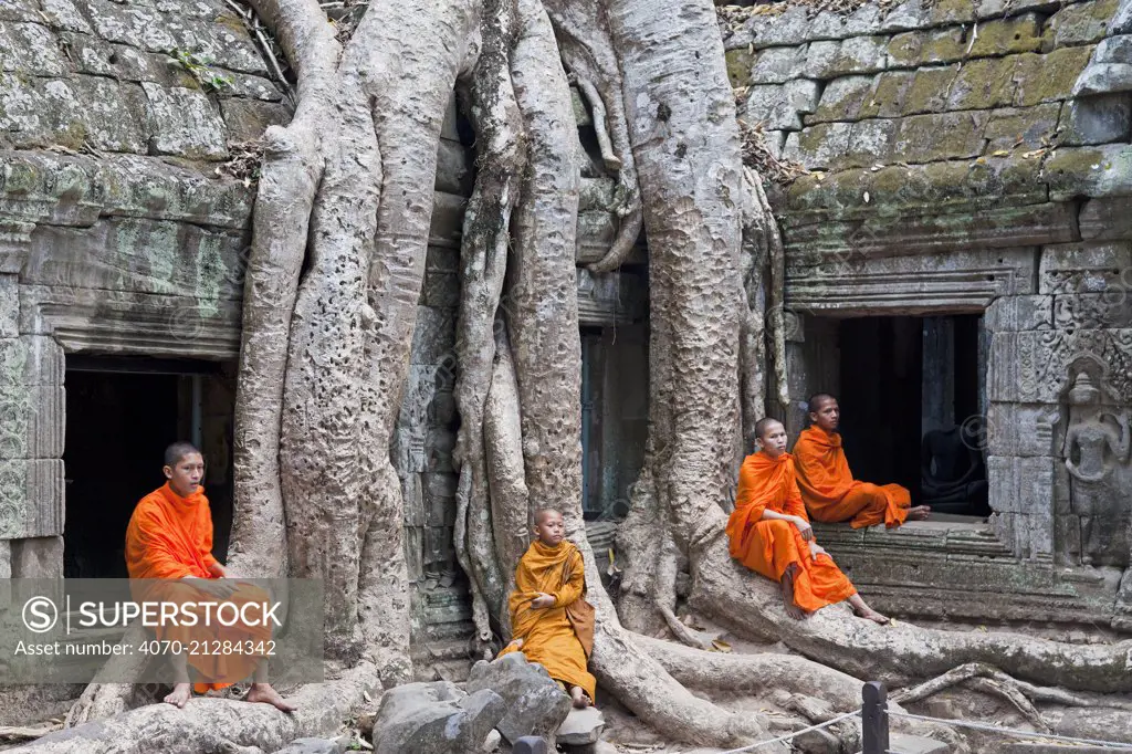 Buddhist monks relaxing at Ta Phrohm Temple, Angkor Wat, Siem Reap, Cambodia 2010. Model released.