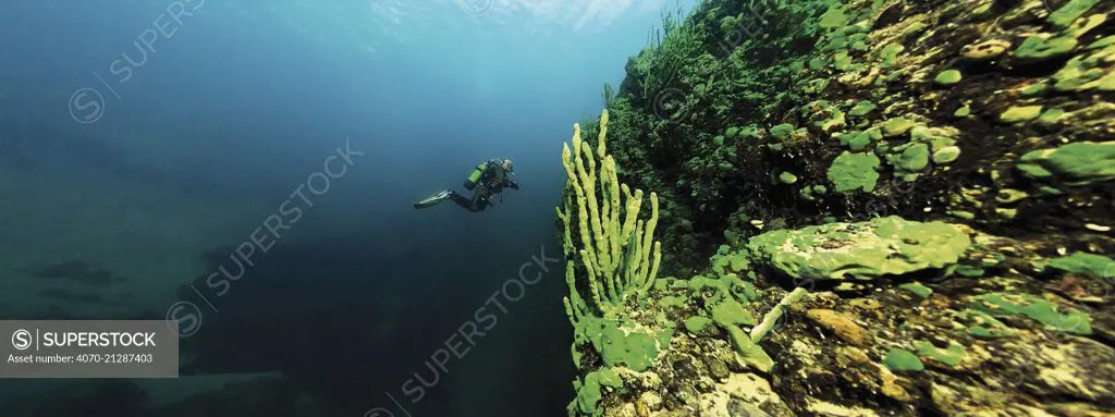 Diver exploring underwater landscape of Lake Baikal, Russia, December 2008.