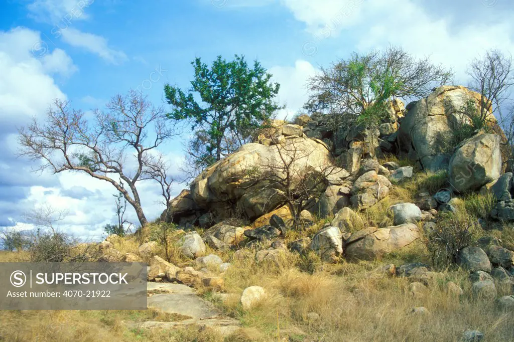 Granite hill (Koppie) with rhyolite boulders in Kruger NP South Africa