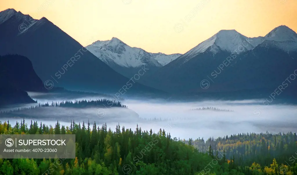 Low lieing morning mist , Denali National Park, Riley Creek, Alaska, USA.