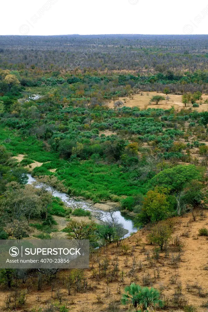 Lush riverine growth along river in the Kruger NP, South Africa