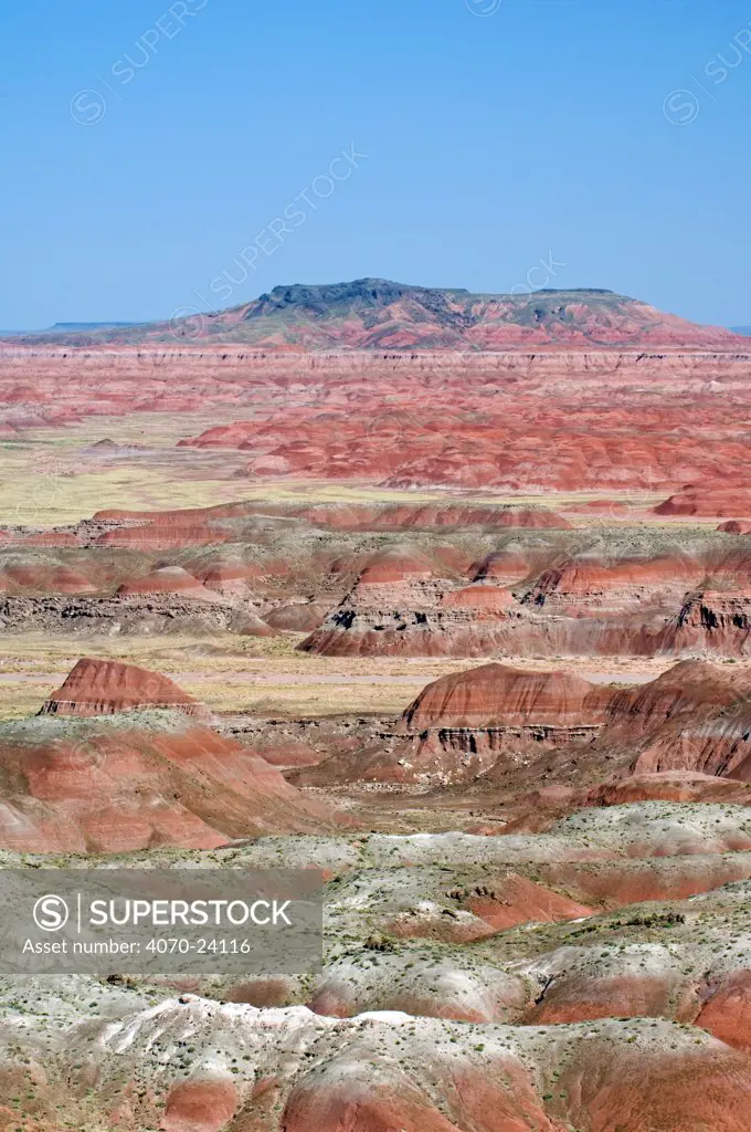 The Painted Desert, part of the Petrified Forest National Park stretches some 50,000 acres of colorful mesas, butes, and badlands, Arizona, USA