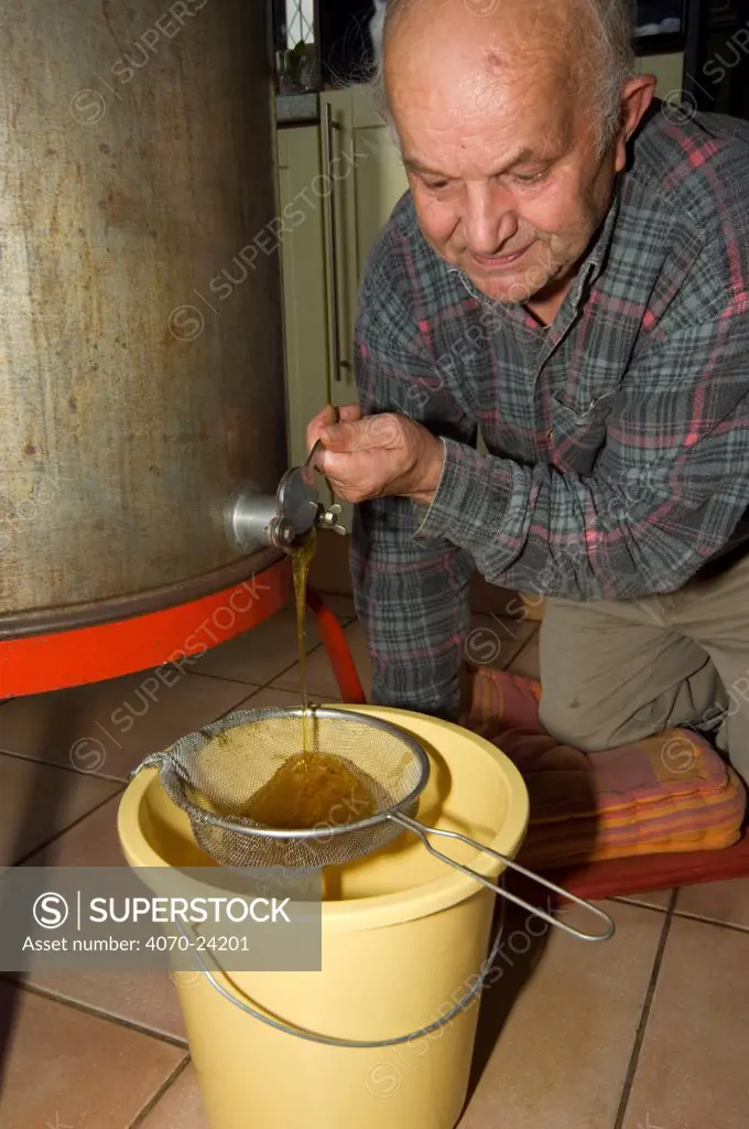 Beekeeper opening the valve at the bottom of a honey extractor to collect the honey, Belgium