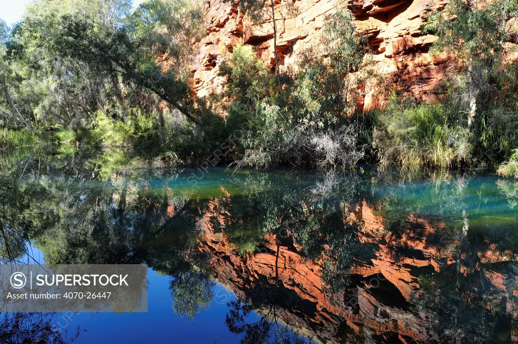 Pool within Dales gorge, with reflections of cliffs and algae bloom, Karijini National Park, Pilbara, Western Australia. August 2009