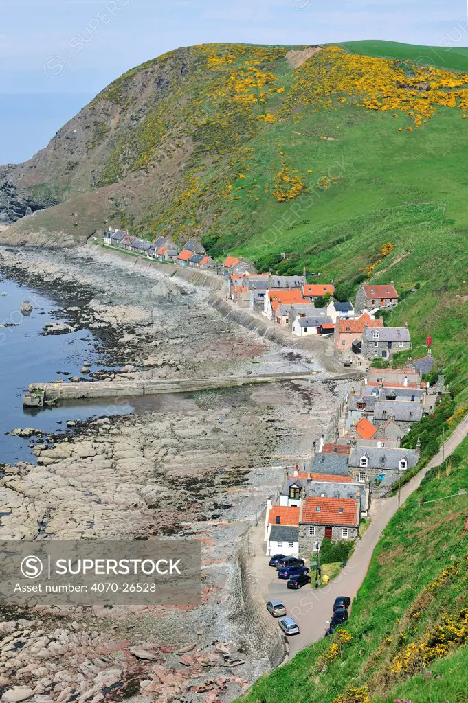 Crovie, a small village on a narrow ledge along the sea made up of a single row of houses, Aberdeenshire, Highlands, Scotland, UK, May 2010