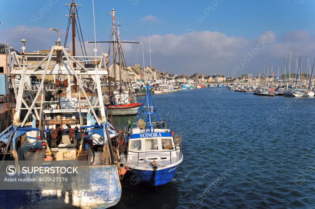 Fishing boats in the harbour of Saint-Vaast-la-Hougue. Normandy, France, October 2010.