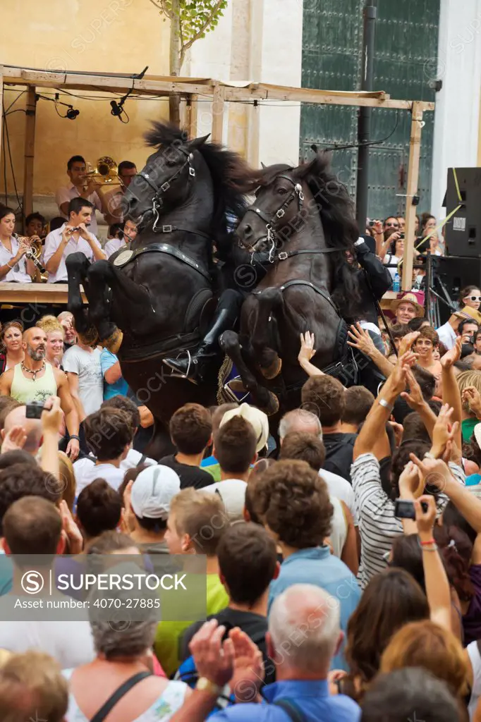 Men riding black Menorquin stallions, performing the bot or walking courbette of the Doma Menorquina, during the festival Mare de Deu de Gracia, in Mahon, Menorca, Spain 2012.  People try to touch the horse, which is meant to bring good luck.
