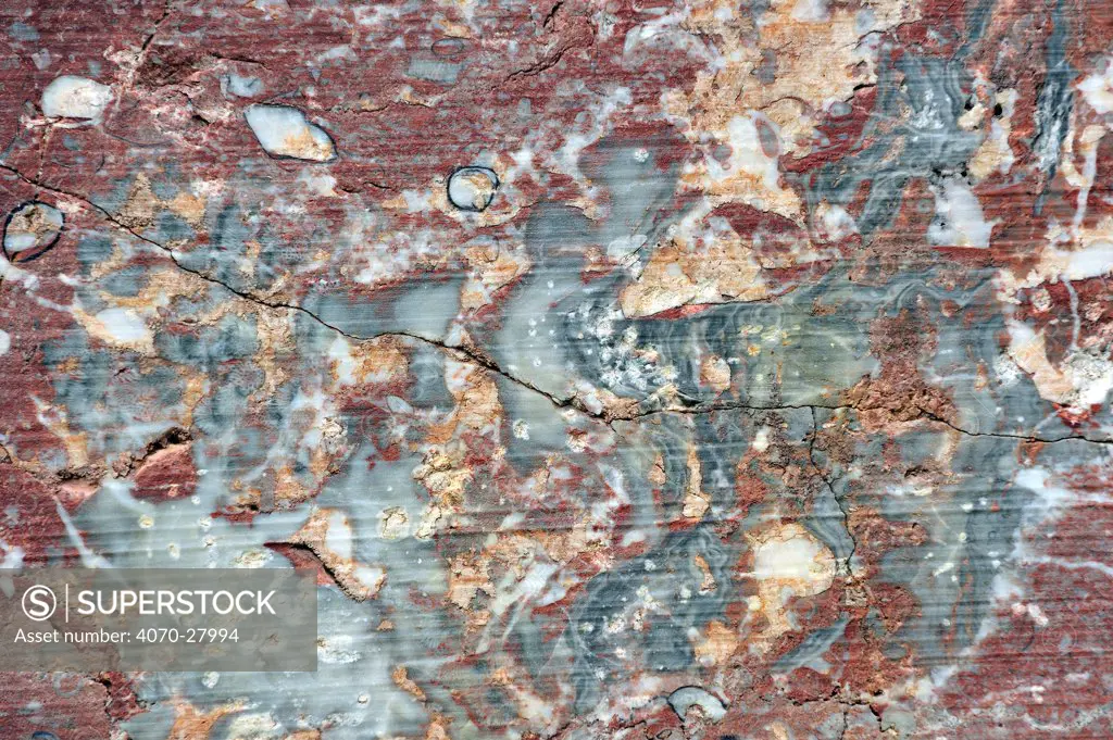 Close up of Red marble in rock face of stone quarry in the Belgian Ardennes, Belgium, August 2012