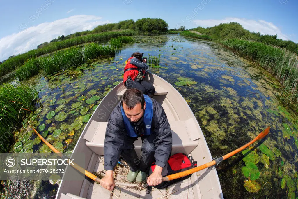 Photographer, Paul Harris, and SWT reserve manager, Mark Blake, working from a small boat at Westhay SWT reserve, Somerset Levels, Somerset, England, UK, June 2011, Model released.