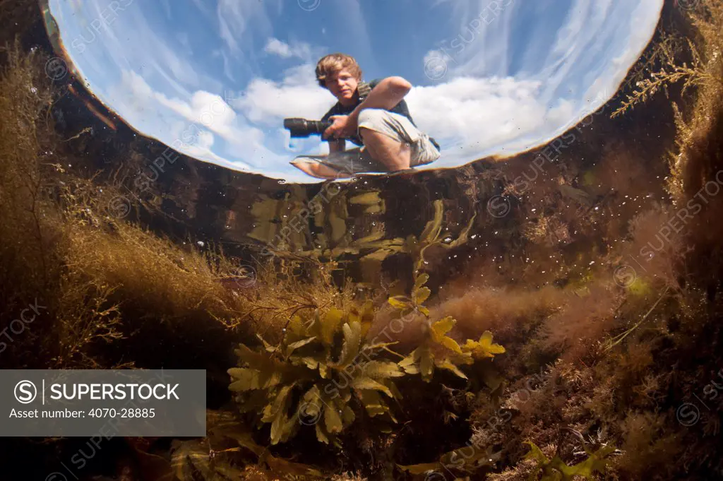 View up through tidepool of 2020Vision young photographer, Bertie Gregory, Falmouth, Cornwall, UK, July 2011. Model released. Did you know Life isn’t easy in a rock pool! Animals here must deal with changeable temperatures, oxygen levels, salinity, and crashing waves.