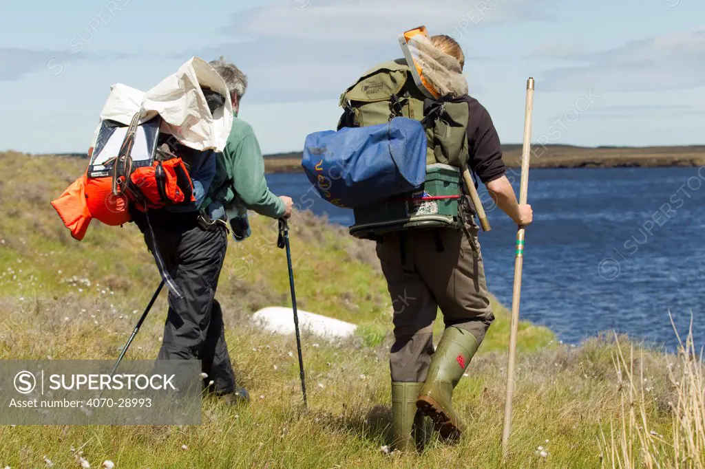 two RSPB scientists carrying equipment for study of aquatic invertebrate adundance as part of Common Scoter (Melanitta nigra) research, Forsinard Flows RSPB reserve, Flow Country, Sutherland, Highlands, Scotland, UK, June 2011. Model released