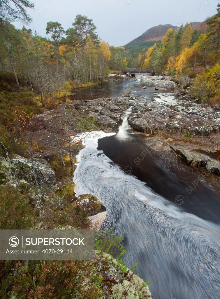 River Affric flowing through Silver birch and Scots pine woodland in autumn, Glen Affric, Highland, Scotland, UK, October 2010