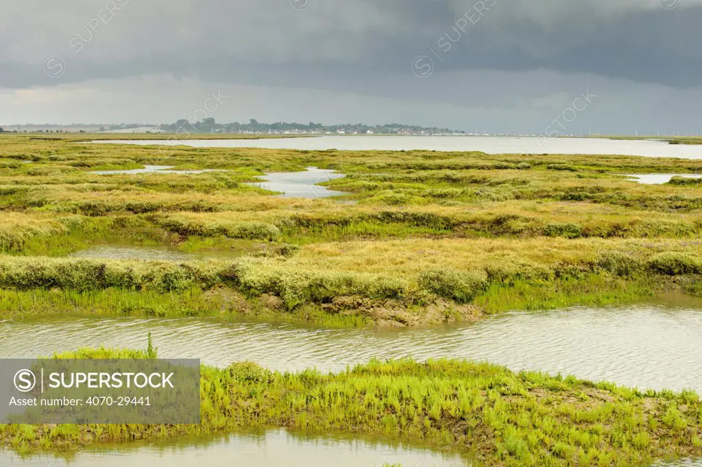 View of regenerated saltmarsh landscape around Abbots Hall Farm Nature Reserve at high tide, providing both a rich wildlife habitat and greater flood protection from sea level rise, Essex, England, UK, July 2011