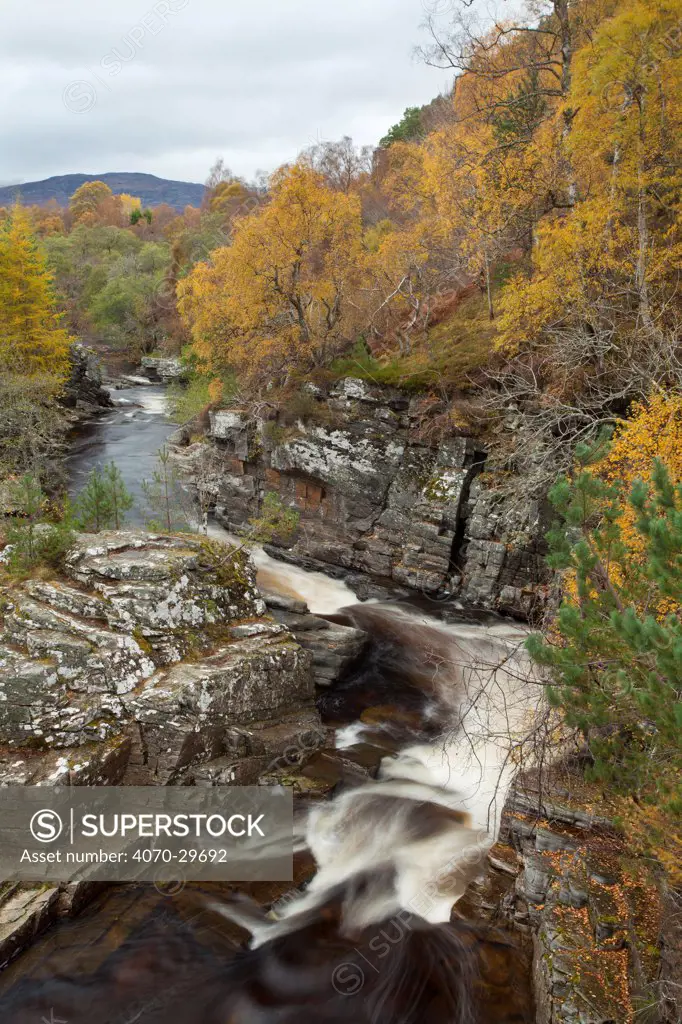 River Tromie flowing through gorge in autumn woodland. Cairngorms National Park, Scotland, UK, March.