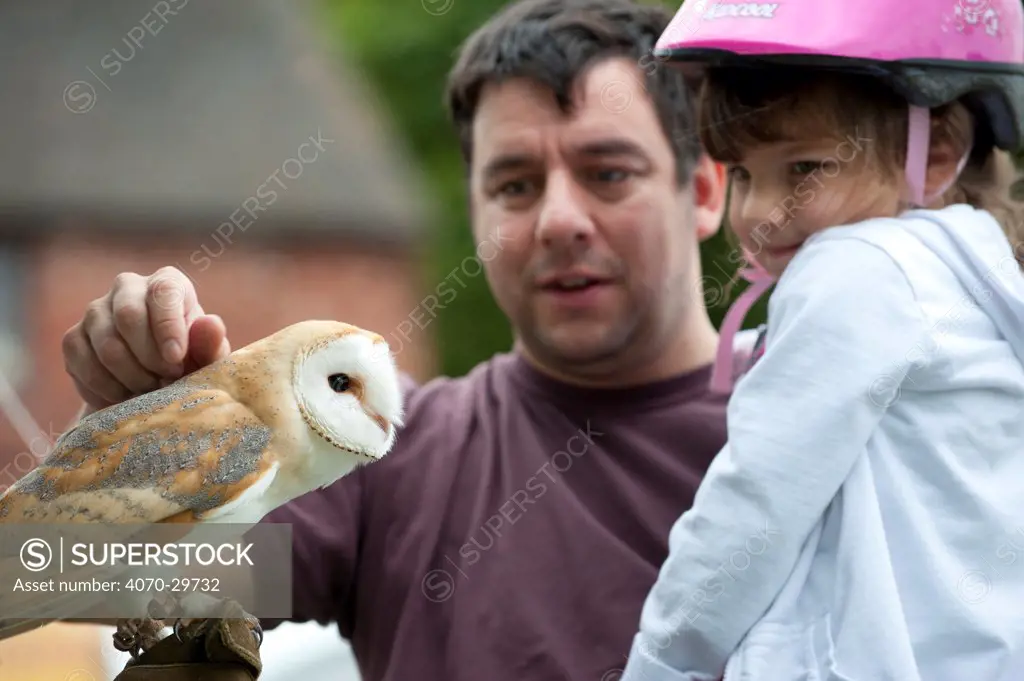 Man and child looking at Barn Owl at the Black Country Living Wildlife Roadshow, Sandwell Park Farm, West Bromwich, West Midlands, August 2011. Model released. Did you know Although owls have excellent night vision, their primary hunting sense is super-sensitive hearing.