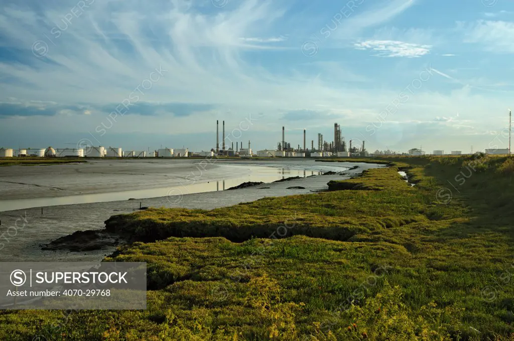 Edge of saltmarsh with oil storage depot in the background, Canvey Island, Essex, England, UK, February