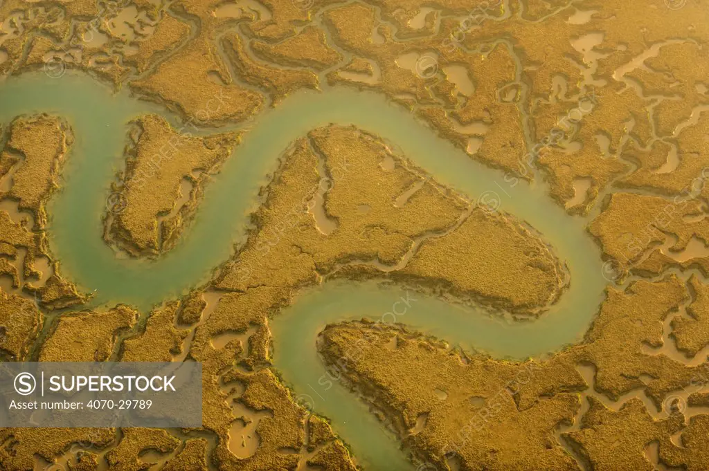 Water channels making patterns in saltmarsh, seen from the air. Abbotts Hall Farm, Essex, UK, April 2012.