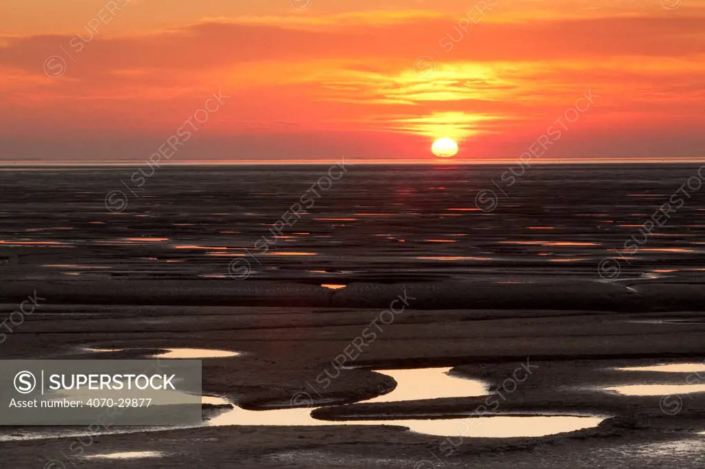 Sunset reflected from mudflats. The Wash Estuary, Norfolk, October 2011.
