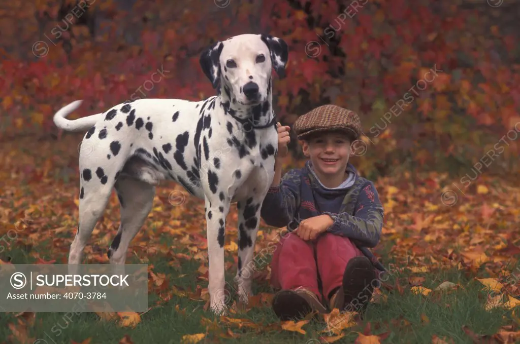 Child with Dalmatian on lead