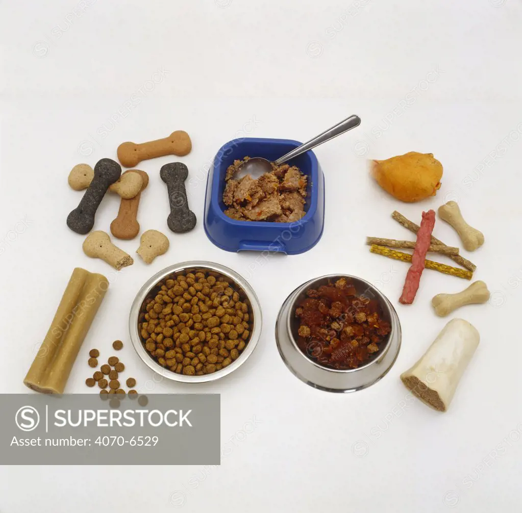 Different types of dog food: tinned, complete dry food, tinned, biscuits and chews
