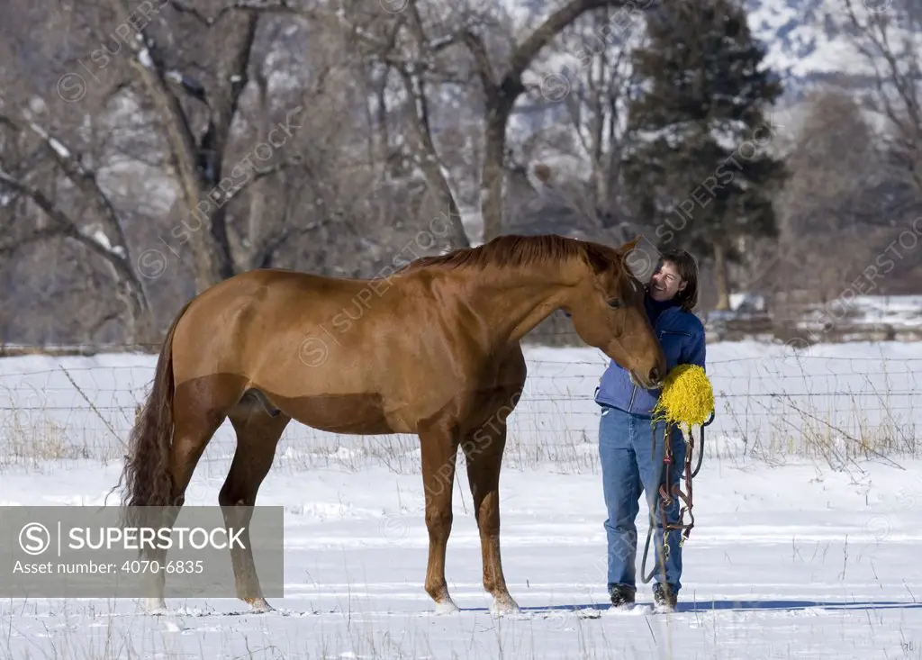Chestnut Dutch Warmblood (Equus caballus), gelding with owner. Longmont, Colorado. Model released.