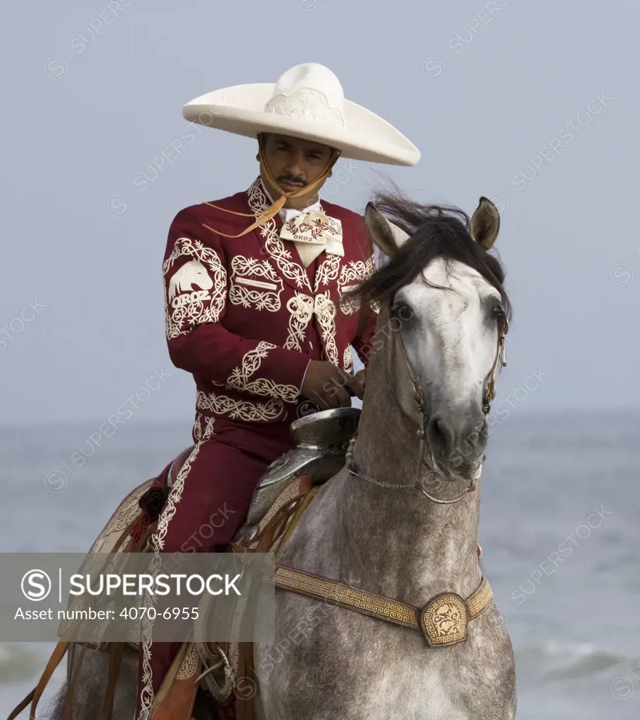Charro riding grey Andalusian stallion on the beach in traditional costume, Ojai, California, USA, model released