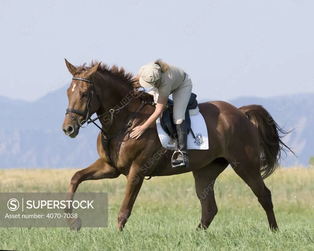 Woman riding and patting Dutch Warmblood mare in Longmont, Colorado, USA, model released