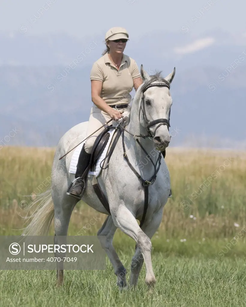 Woman riding grey thoroughbred gelding, Longmont, Colorado, USA, model released
