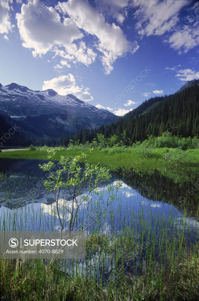 Kokanee Lake, Kokanee Glacier NP, British Columbia, Canada.