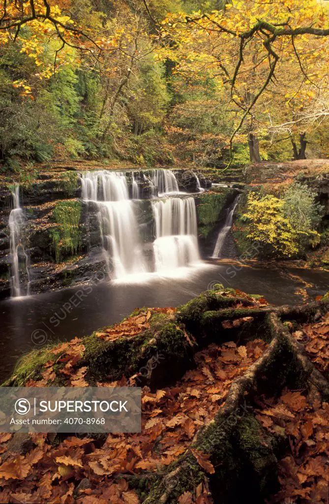 Waterfall in woodland, Brecon Beacons National Park, Wales, UK