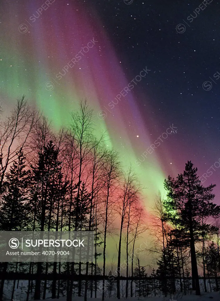 Aurora borealis storm colours in night sky, northern Finland, February 2002, winter