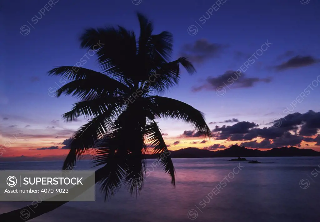 View towards Praslin Island at sunset with coconut palm tree silhouetted, La Digue Island, Seychelles, Indian Ocean