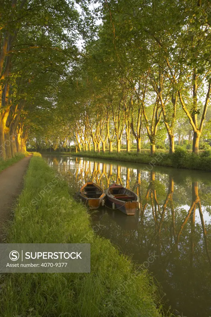 Boats on the Canal du Midi, nr Carcassonne, Languedoc, France