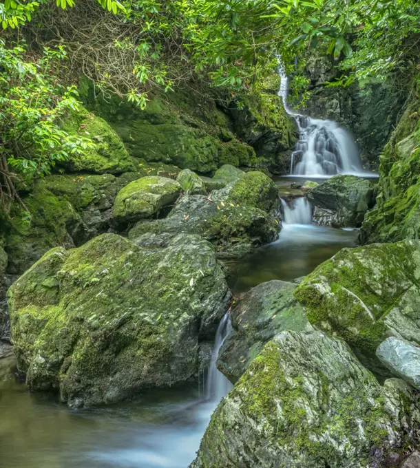 Waterfalls on Sprinkwee / Cascade River flowing amongst rocks in woodland. Tollymore Forest Park, County Down, Northern Ireland, UK. August 2020.