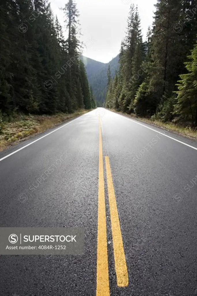 Empty Highway Through Forest, Montana, USA