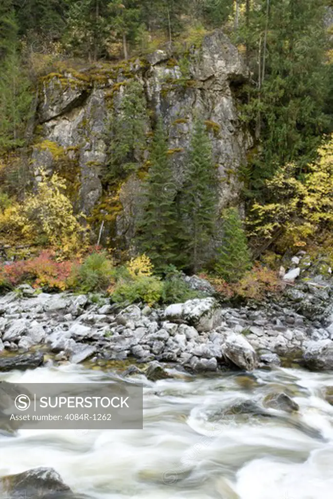 River Along Rocky Terrain in Forest, Montana, USA