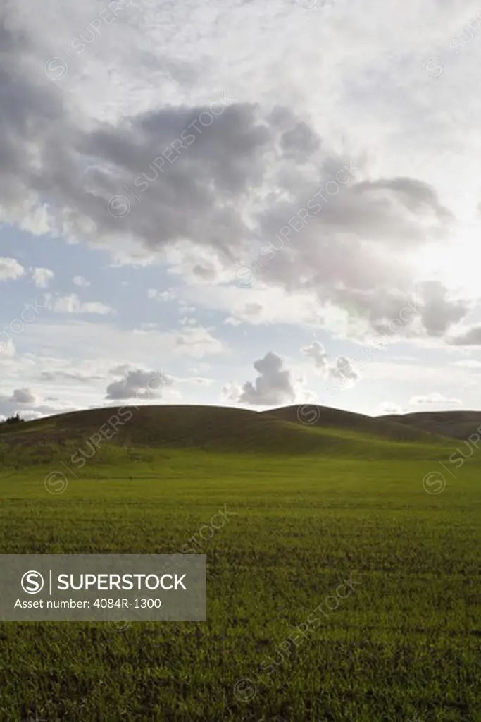 Green Fields and Rolling Hills Against Dramatic Sky, Washington, USA