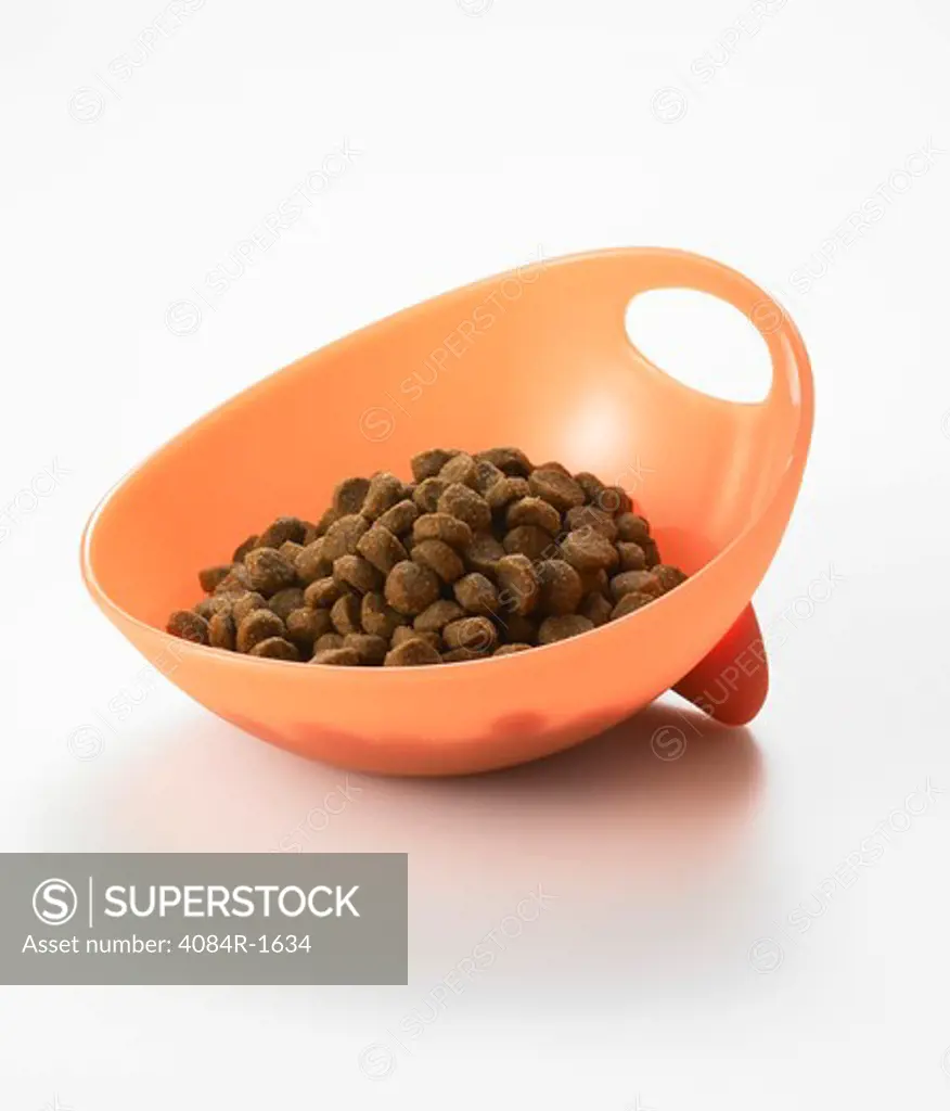 Dog Bowl With Dog Food