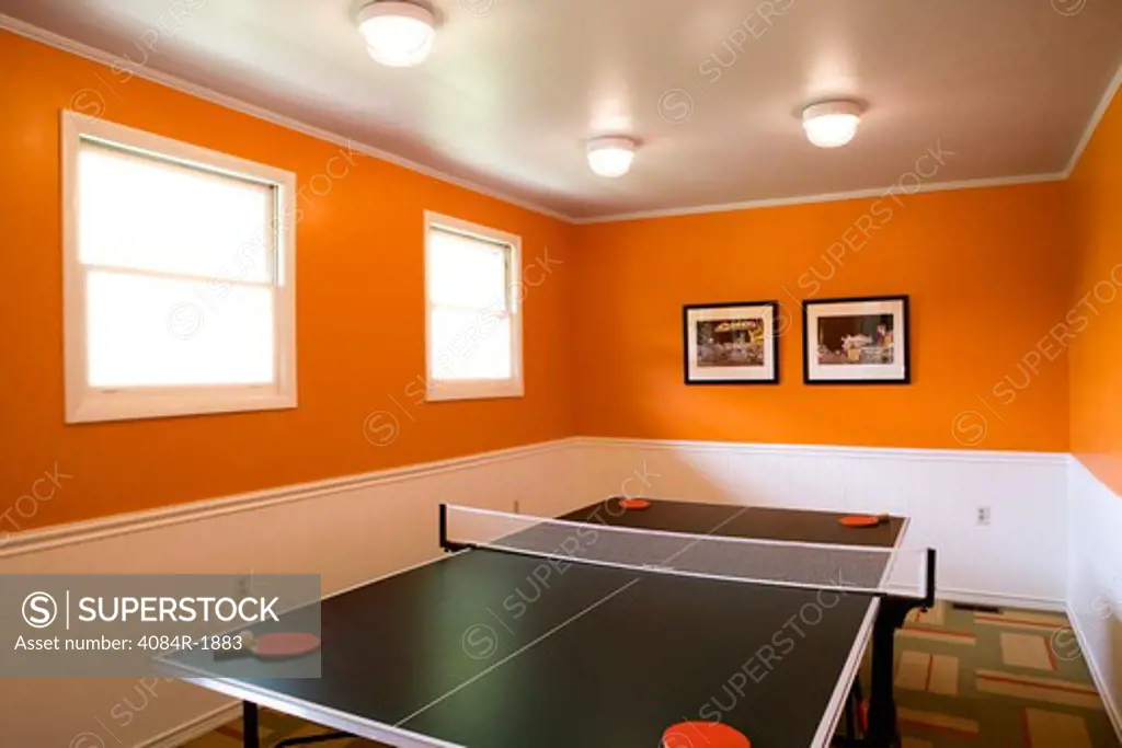Ping Pong Table in Recreation Room