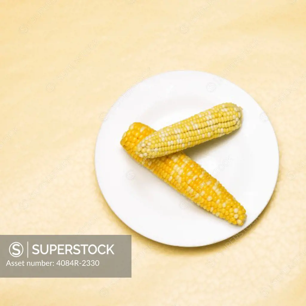 Fresh Cooked Corn on the Cob on White Plate, High Angle View