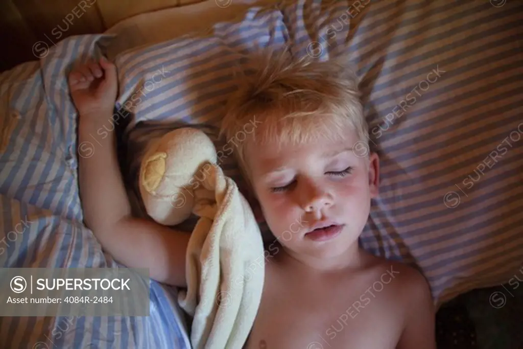 Young Boy Sleeping with Stuffed Animal, High Angle View