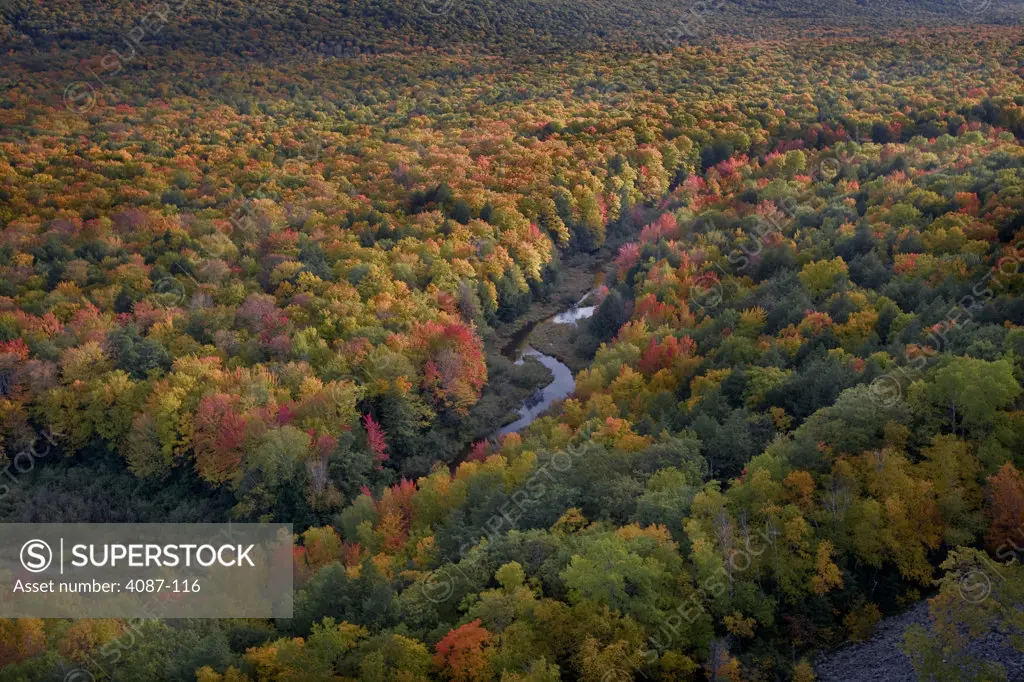 High angle view of a stream, Porcupine Mountains, Upper Peninsula, Michigan, USA