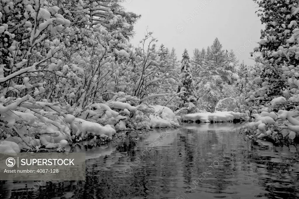 River flowing through a snow covered forest